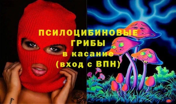 ГАЛЛЮЦИНОГЕННЫЕ ГРИБЫ Балахна