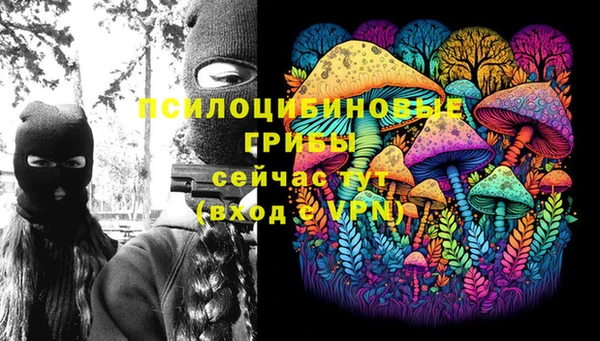 гидра Балабаново