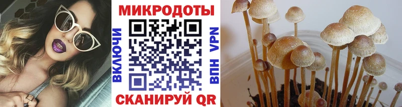 Псилоцибиновые грибы Psilocybe  купить наркотики цена  MEGA ONION  Кремёнки 